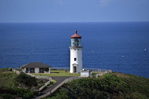 שמורת הציפורים קילאואה (Kilauea Point National Wildlife Refuge) והמגדלור